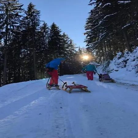 In Near Lifts Apartment Kaltenbach