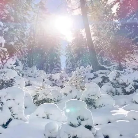 Apartment In Near Lifts *