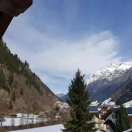 In Near Lifts Apartment Kaltenbach