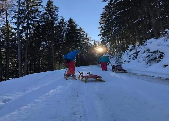 In Near Lifts شقة كالتنباش