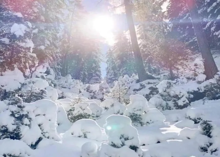 شقة In Near Lifts *