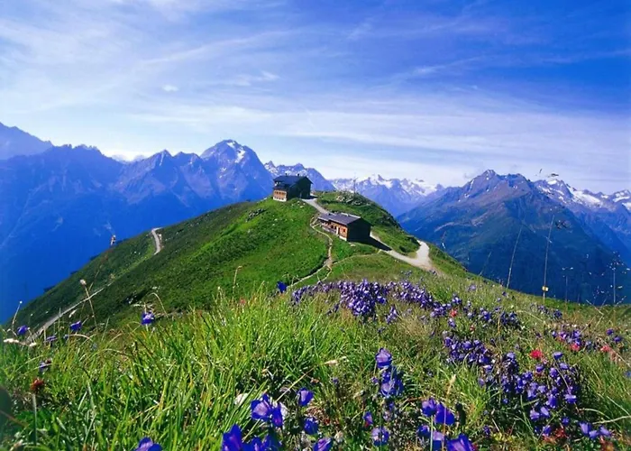 In Near Lifts شقة